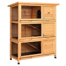 Ansel Chicken Coop & Rabbit Hutch
